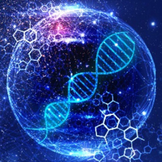 Молекулярная диагностика и биобезопасность 2023